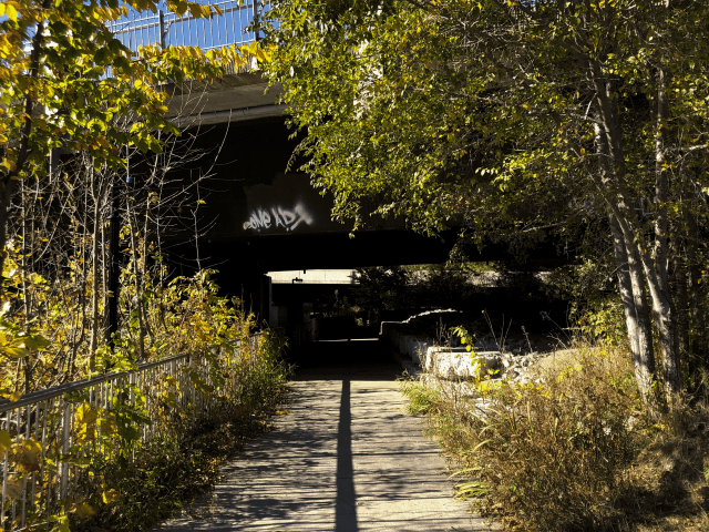Looking down a path that goes under a bridge.