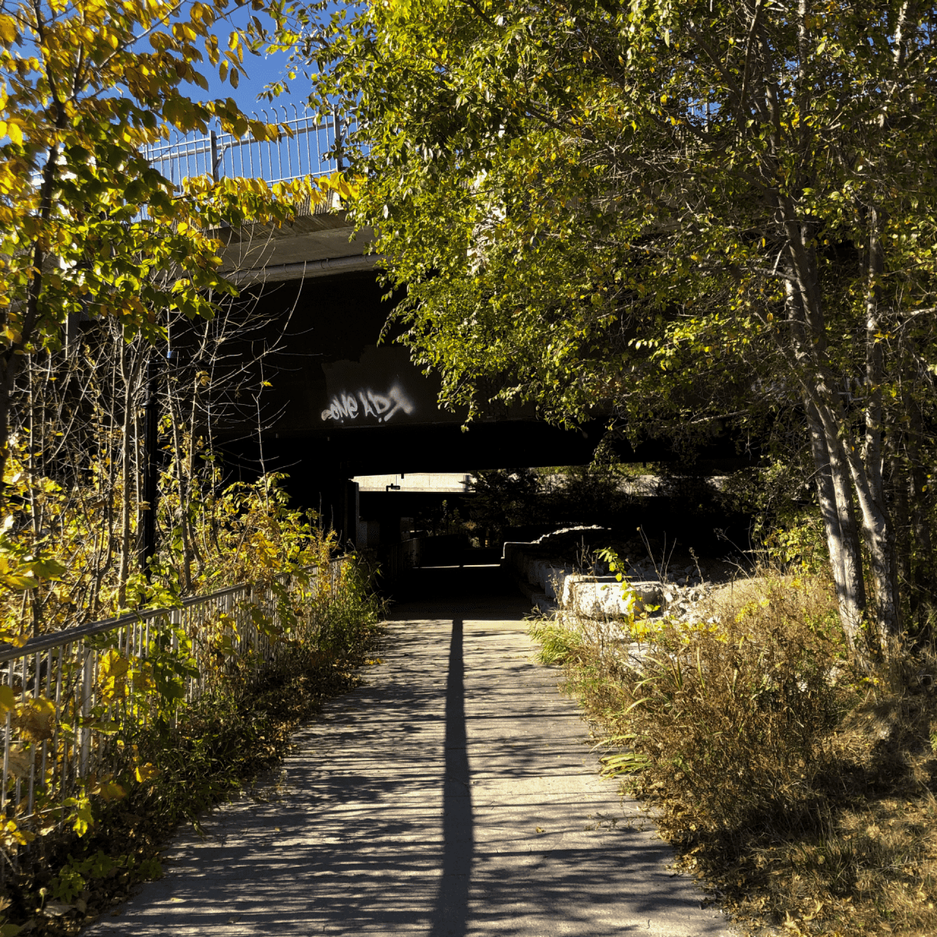 Looking down a path that goes under a bridge.